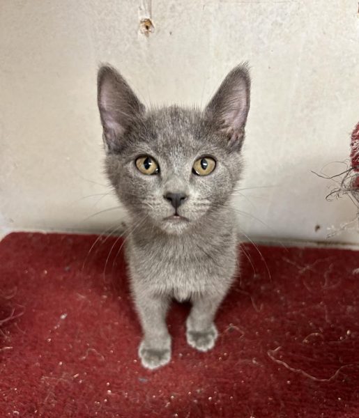 385510486_1263498077637595_2077117470524330025_n