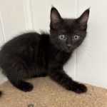 386804174_307345178591520_5705885466906801563_n