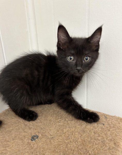 386804174_307345178591520_5705885466906801563_n