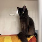 386875309_639236348198466_5988251240827521984_n