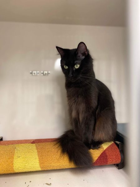 386875309_639236348198466_5988251240827521984_n