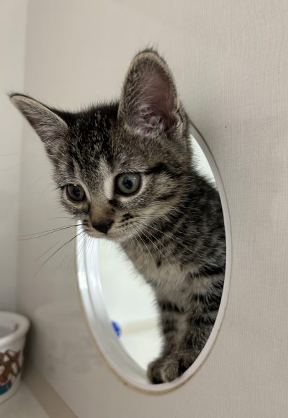 387322821_1023537422781500_8989621110253212726_n