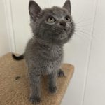 387326892_287984217513667_9186551889907205388_n