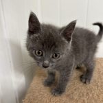 387326892_869817874508842_5072929395922263764_n