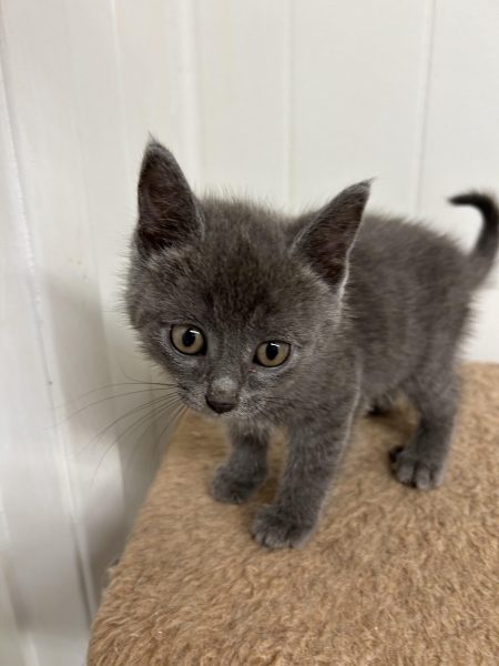 387326892_869817874508842_5072929395922263764_n