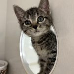 387494124_1667175610435497_6812571360549493476_n