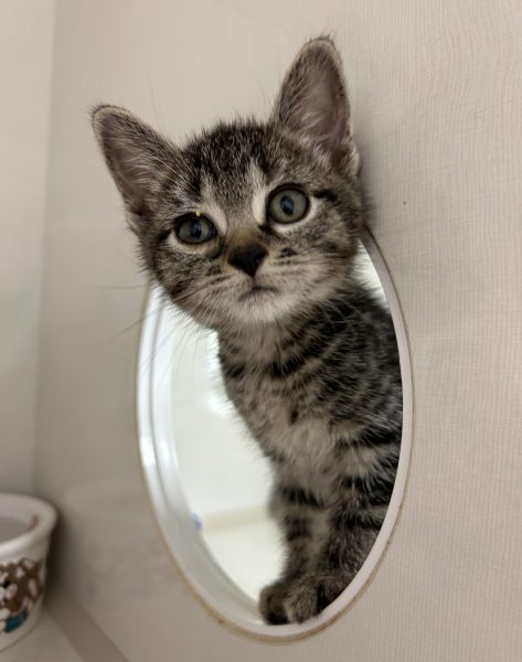 387494124_1667175610435497_6812571360549493476_n