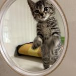 387532585_303154765756071_6384815259296107642_n