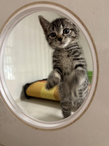 387532585_303154765756071_6384815259296107642_n