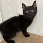 387543914_251780917855819_3192097883732169461_n