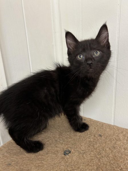 387543914_251780917855819_3192097883732169461_n