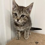 387581962_1430440264190165_4640513165451608010_n