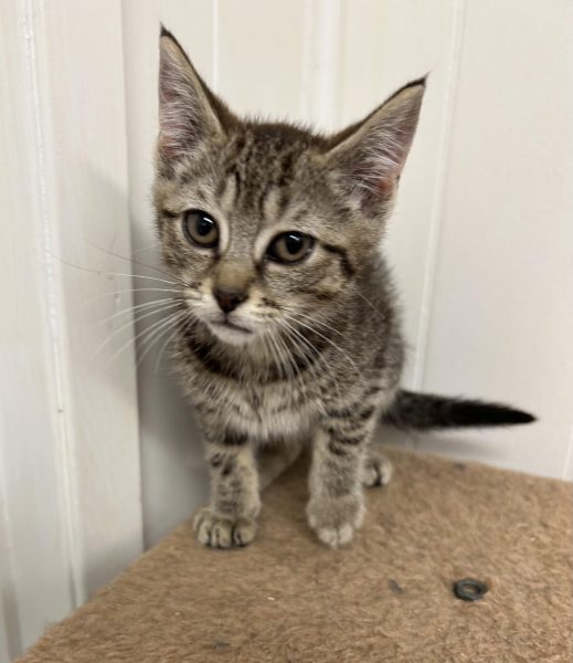 387581962_1430440264190165_4640513165451608010_n