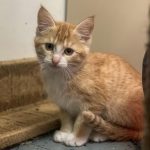 393334449_3596633643948720_2861434150734577056_n