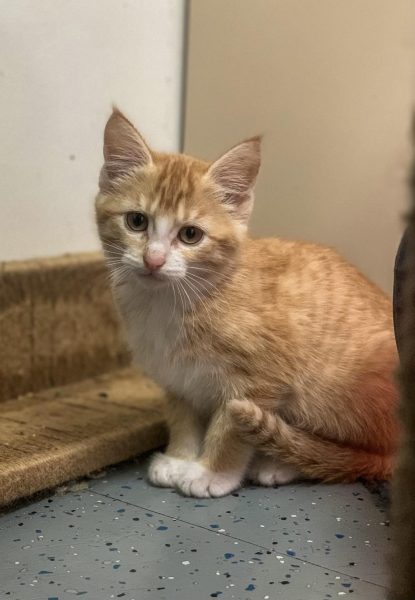 393334449_3596633643948720_2861434150734577056_n