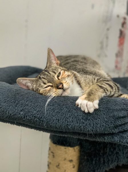 393362330_239569825762913_8076861986848169414_n