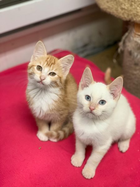 393848990_1284507392260003_8147728425853022884_n