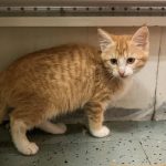 393943539_3683901795223199_4513595175662083602_n