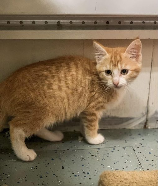 393943539_3683901795223199_4513595175662083602_n