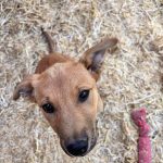 0d715d46fa362cacda8e9d99a979e3ca