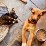 165330127a3e4c267ed66a3a14930d56