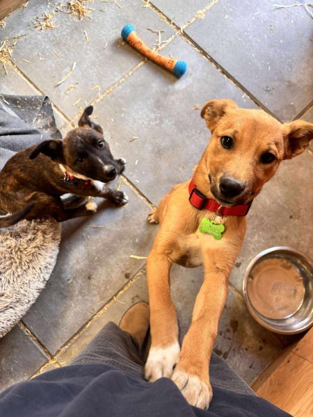 165330127a3e4c267ed66a3a14930d56