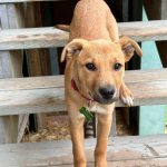 71575b644a76f439bd26c5f0d1b5d1a9