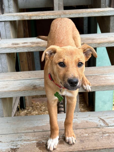 71575b644a76f439bd26c5f0d1b5d1a9