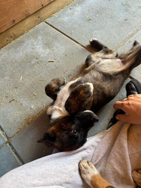 a8d0d642004277f77d18e916cde814db