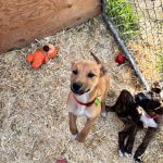 c471505e46aaf2deca3585771787cf8d