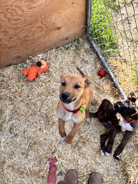 c471505e46aaf2deca3585771787cf8d