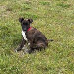 d0a724ee69b3f3dbabb3abbca3db5941