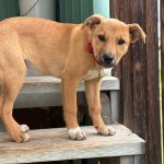 e87748fcce1058de471e60bae70eb5b4