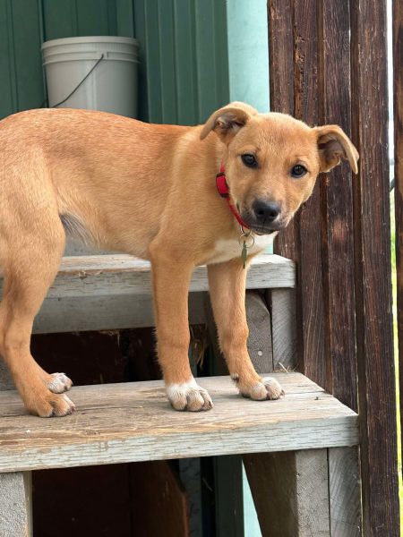 e87748fcce1058de471e60bae70eb5b4