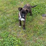 eb435e8ab41f3c1196621037ac95a444