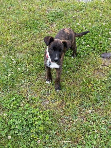 eb435e8ab41f3c1196621037ac95a444