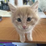 05dd865a892130022a81b6e144683cd6