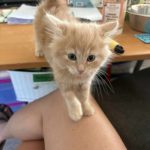 40b1091dab93b2c85ac4054d00ac269d