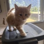 5d306ca4e2f4a159f0646ebf7fe7266e