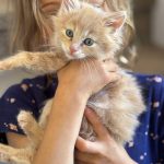 810984dcab896bdf7afcbdd6513bcf52