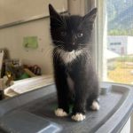 bd0812c54326b03eba88649a4eefe7d1 2