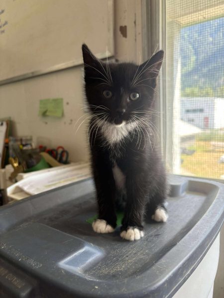 bd0812c54326b03eba88649a4eefe7d1 2