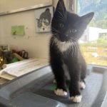 e8a14aee34975334534bbbb73a09e01f