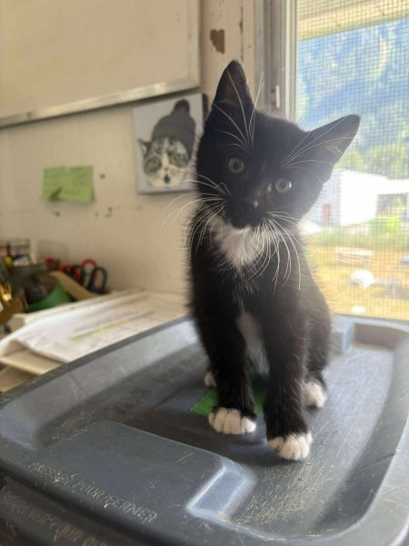 e8a14aee34975334534bbbb73a09e01f