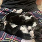 att.VtYgKYFt6iEp46J27Nr34FXWgtubWeOrDOM4PvAzE3k