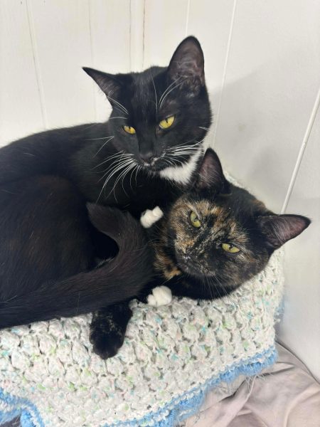 5e4941a24d8fa9e995e66a161dd02a8b