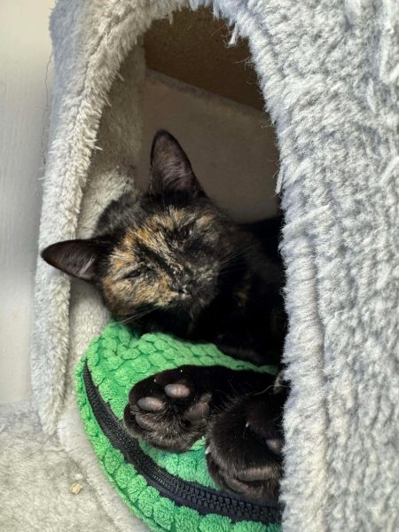 a2a66838f976b7970c7aed8d16dad2b1