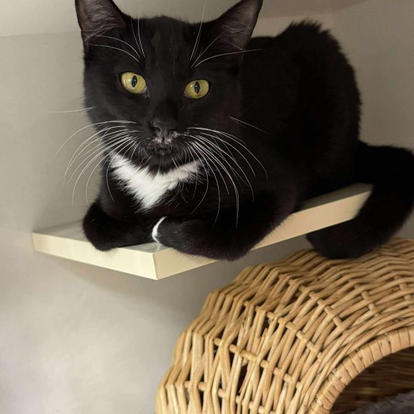 e0ca2d9c3bdcfbf46d7ce170159e0b9a