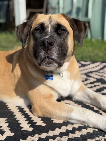 Juno