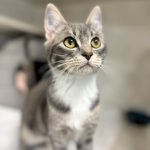 9bba628c9eb881b8379e738fcd085286